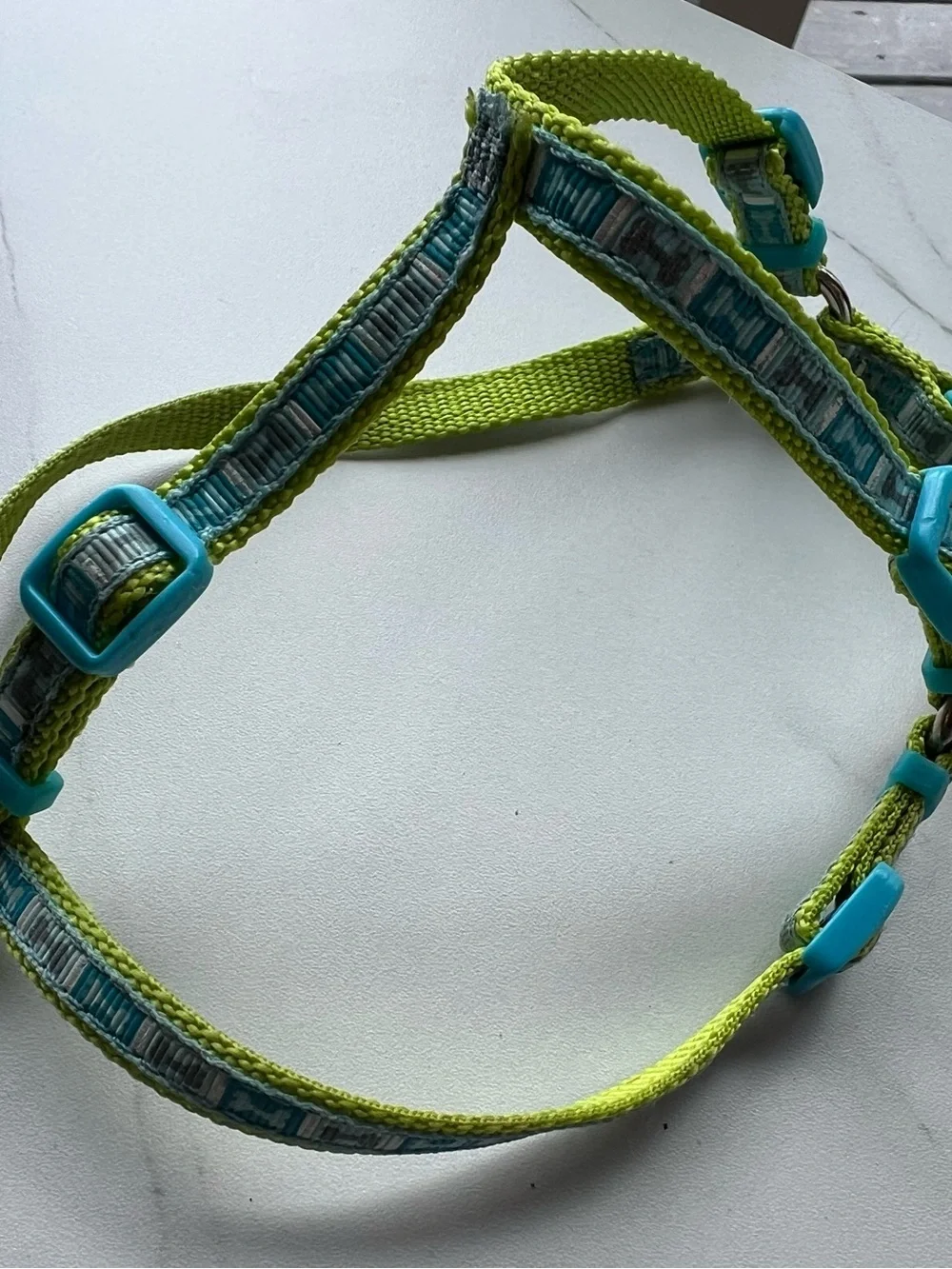 Adjustable Dogs Harness in Lime Green and Teal